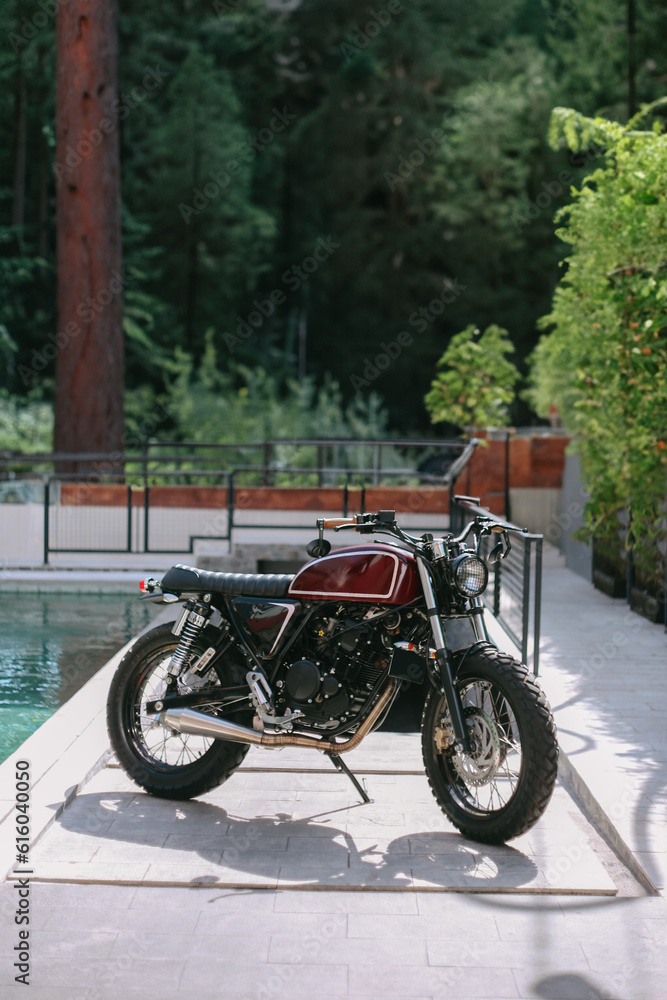 Born to Ride: Unique Custom Motorcycle Creation Born to Ride: Unique Custom Motorcycle Creation