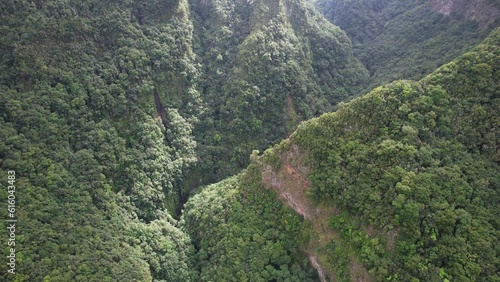 Aerial view above the lush rainforest of northern La Palma in the Canary Islands photo