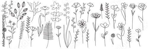 Set of leaves. Hand drawn decorative elements. Vector illustration. Set of Plants Doodle Design Element, Leaves and Flower Line Art 
