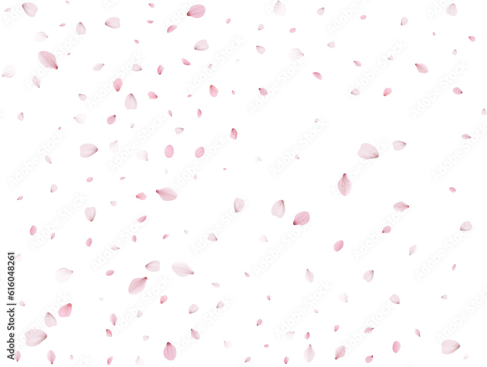 Flying Spring Sakura. Flying Spring Sakura.
