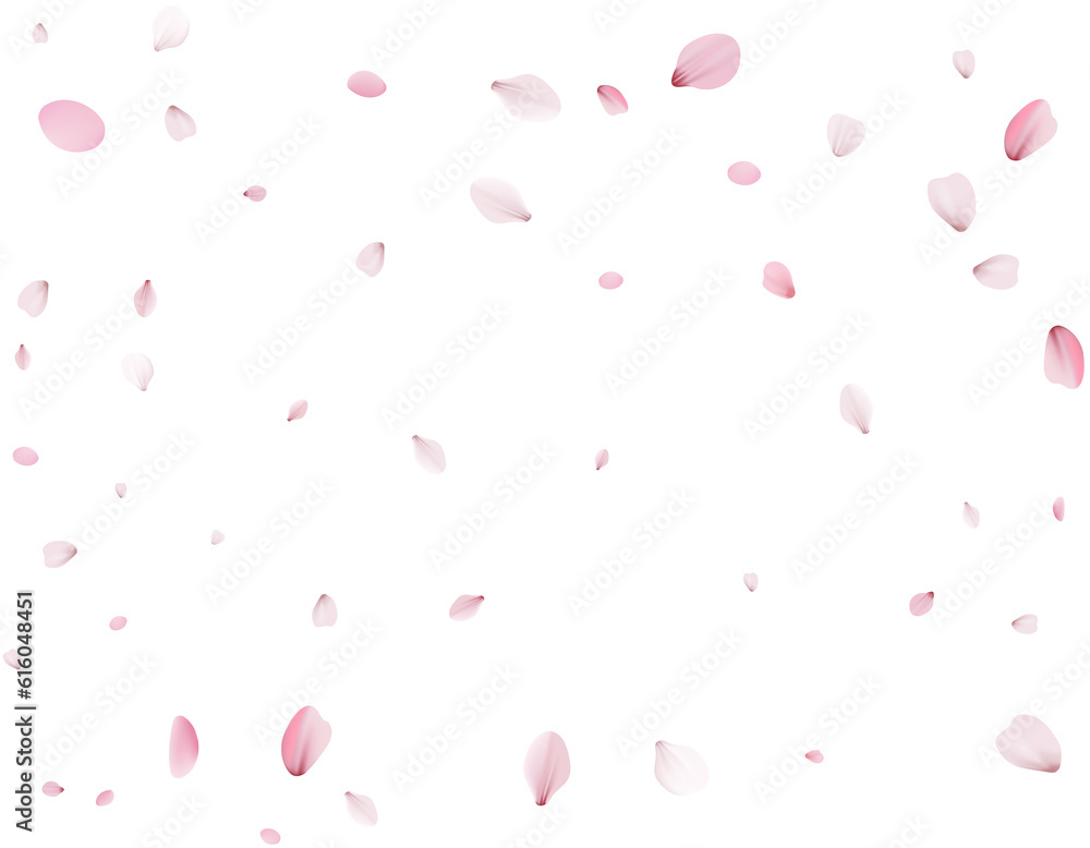 Flying Spring Cherry. Flying Spring Cherry.