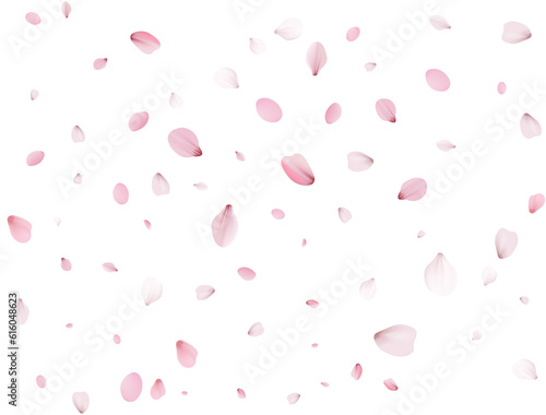 Flying Spring Cherry.