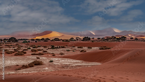 huge sand dunes in the Namib Desert with trees in the foreground of Namibia