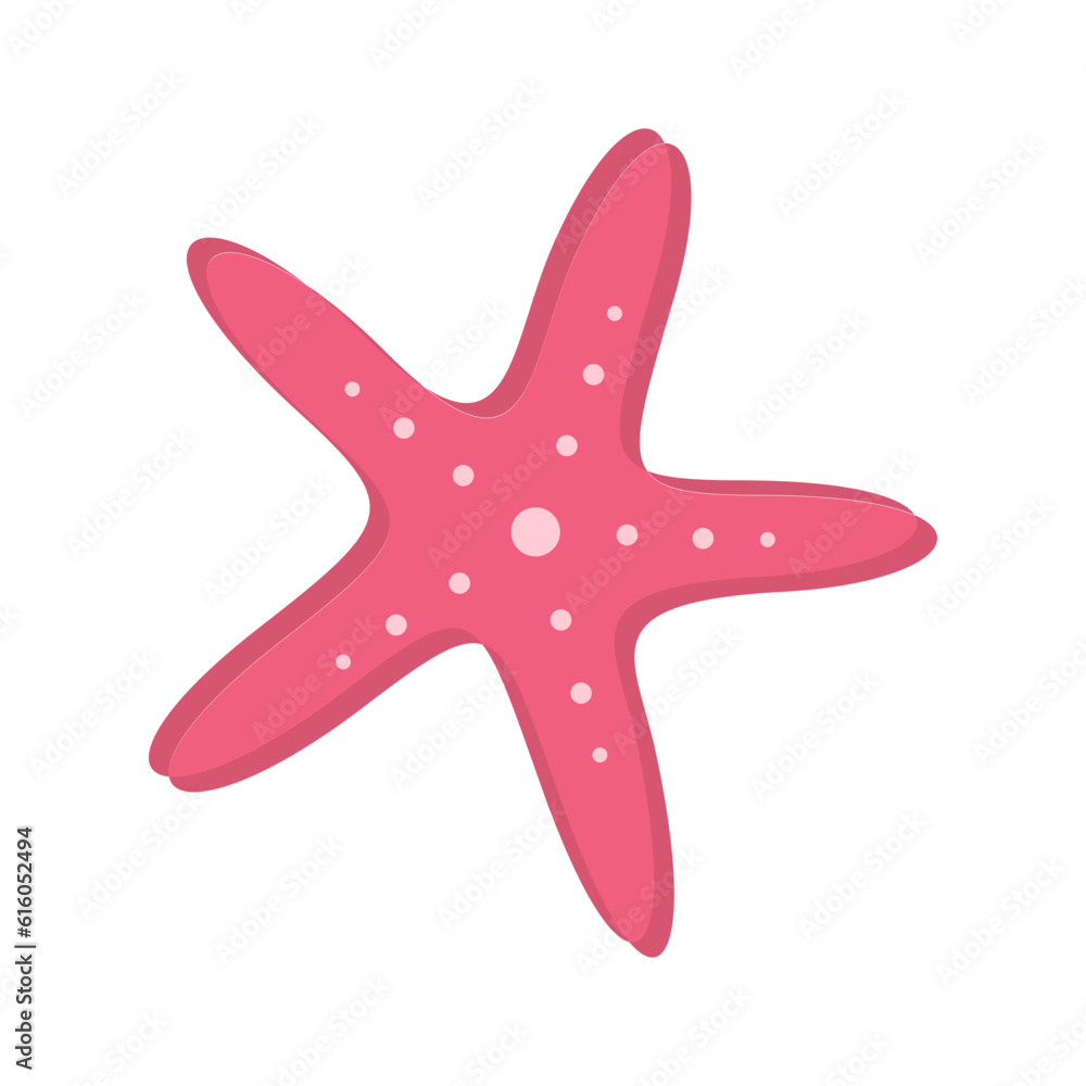 Starfish Illustration Starfish Illustration