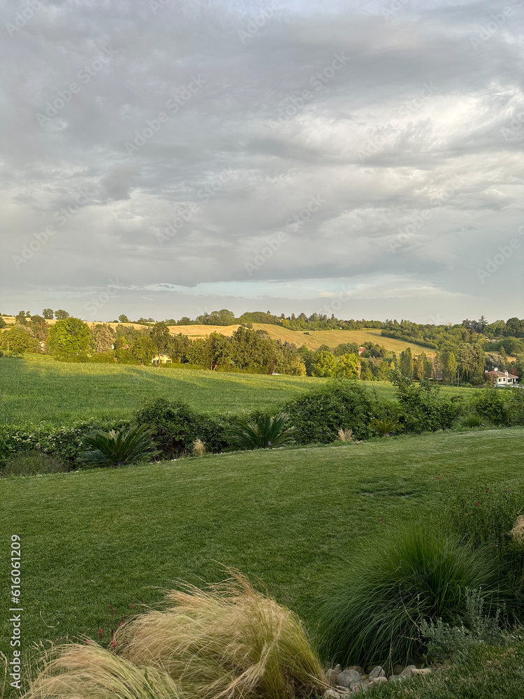 Obraz premium colline del monferrato 