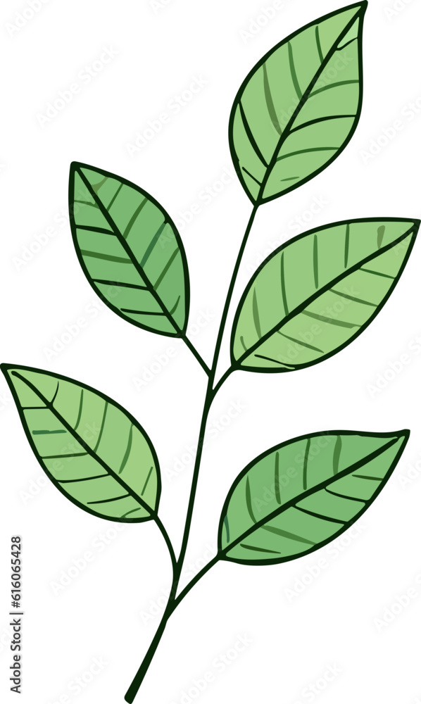 Green Leaf nature element Green Leaf nature element