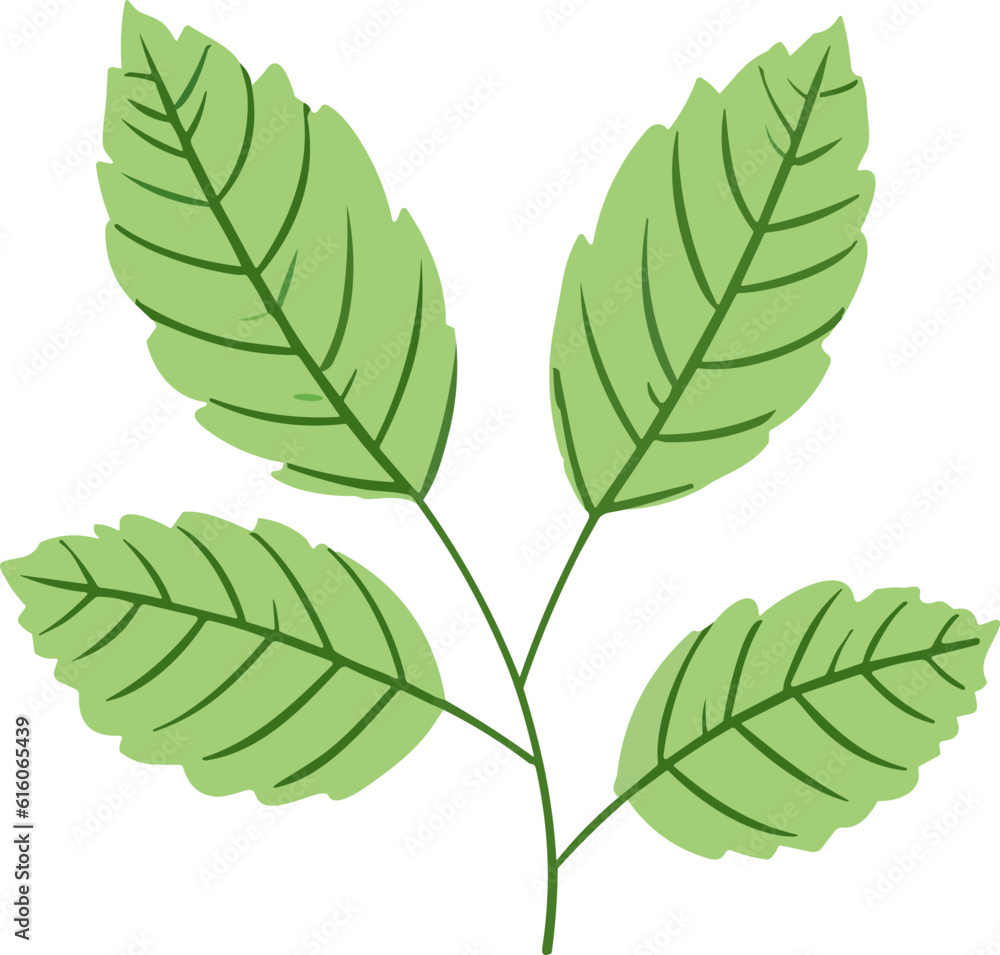 Green Leaf nature element Green Leaf nature element