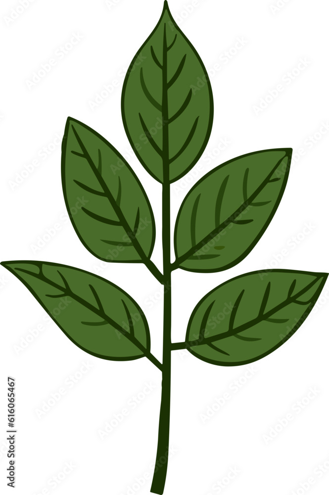 Green Leaf nature element 