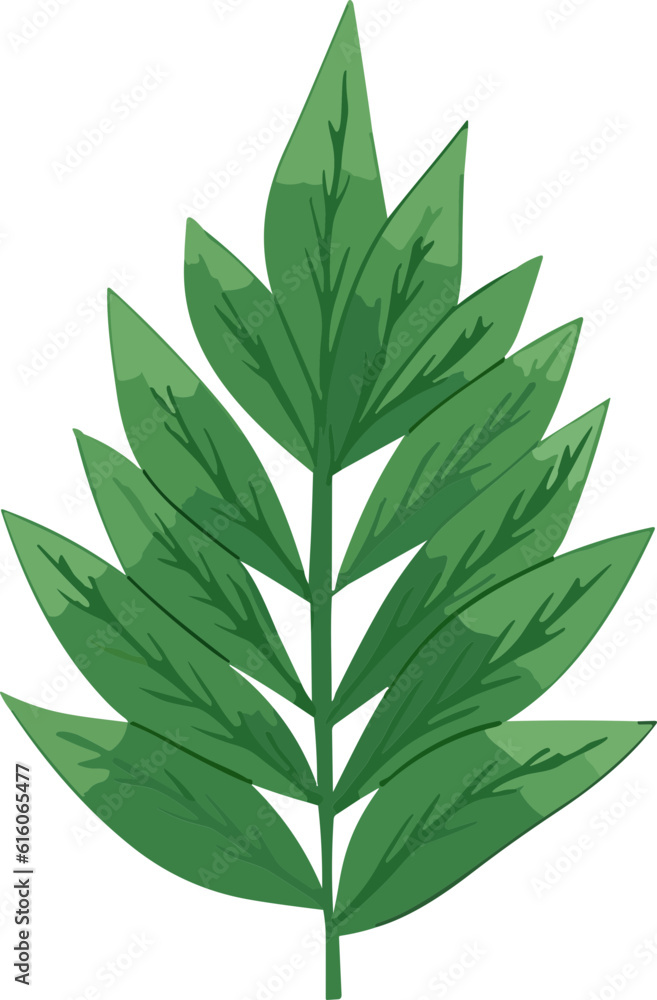 Green Leaf nature element Green Leaf nature element