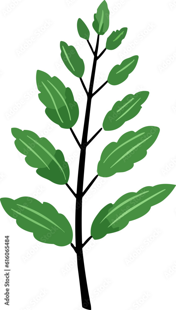 Green Leaf nature element Green Leaf nature element