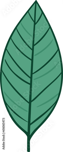 Green Leaf nature element 