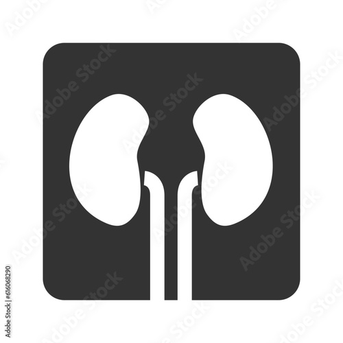 illustration of a icon nephrology