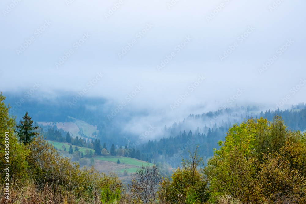 Thick Fog in the Wooded Valley of the Carpathians