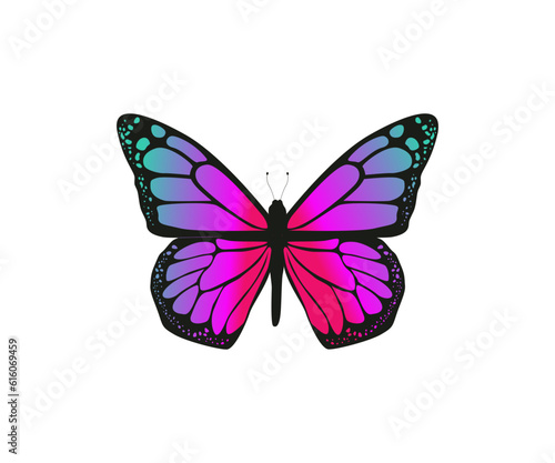 Beautiful pink Butterfly © This is Art