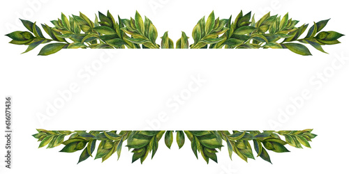 Hand drawn watercolor borders, frame of green ruscus branches with leaves for wedding, birthday, greeting card, menu, banner, border, stickers. 