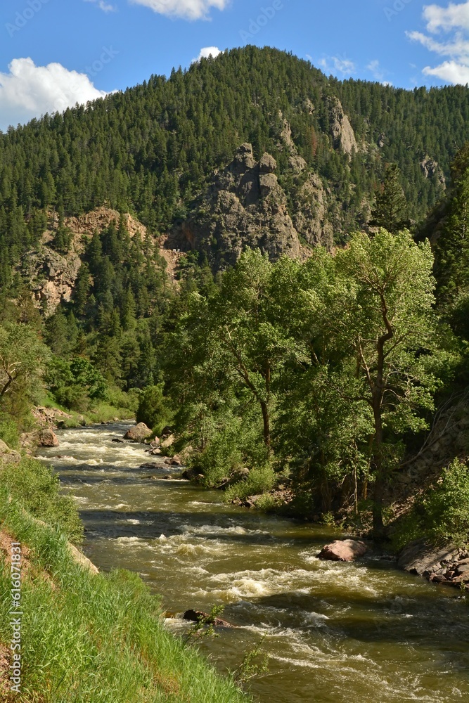 rocks and rapids on  in  the south platte river on a sunny  summer day  in the granite  foothills of  waterton canyon, littleton,  colorado
