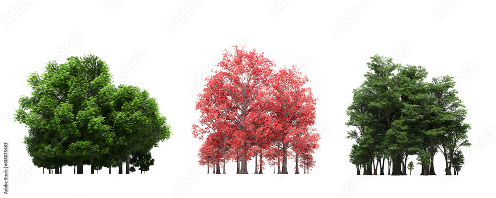 Fototapeta premium group of trees isolated on a white background, forest, sketch, outline illustration, cg render