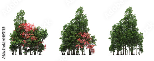 group of trees isolated on a white background, forest, sketch, outline illustration, cg render