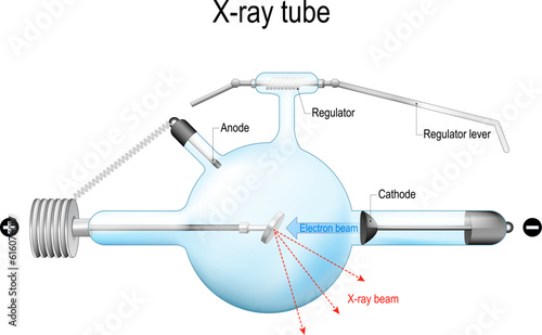 Crookes X-ray tube.  Realistic vector illustration.