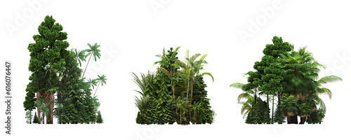 group of trees isolated on a transparent background, forest, sketch, outline illustration, cg render