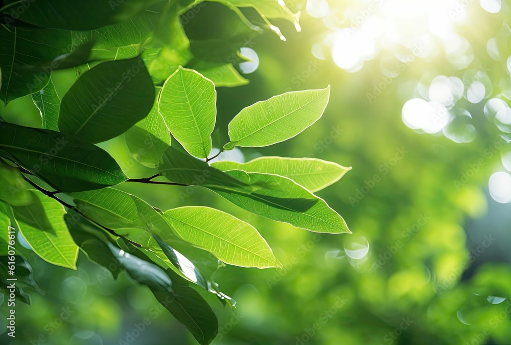 Closeup of Nature view of green leaves that have been eaten by a worm on blurred greenery background in forest Closeup of Nature view of green leaves that have been eaten by a worm on blurred greenery background in forest