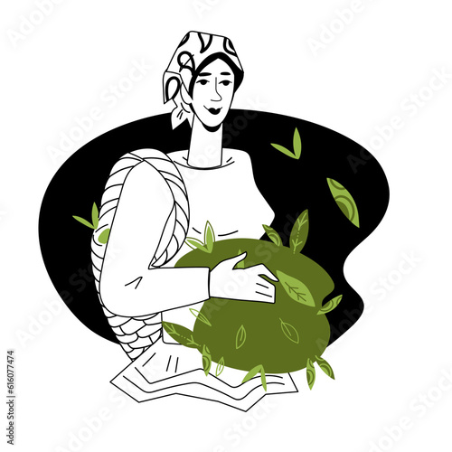 Woman farmer picking harvest of tea plant, flat vector illustration isolated on white background. Design for green and black tea packs.