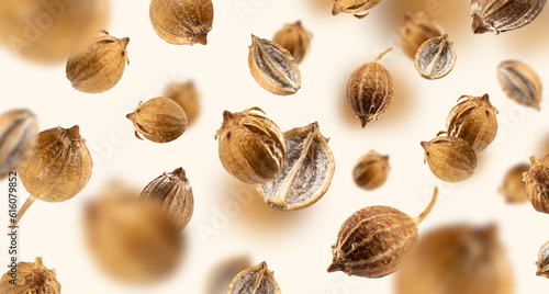 Falling Organic dried coriander seeds float on a beige background for recipes. Floating in the air food Creative concept. Spicy and Fragrant Seasoning. Flying set of spices. Modern pattern