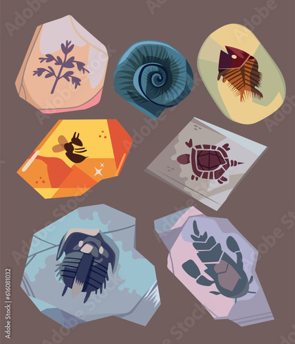 set of old rock illustration collection containing fossil skeletons of ancient animals and plants