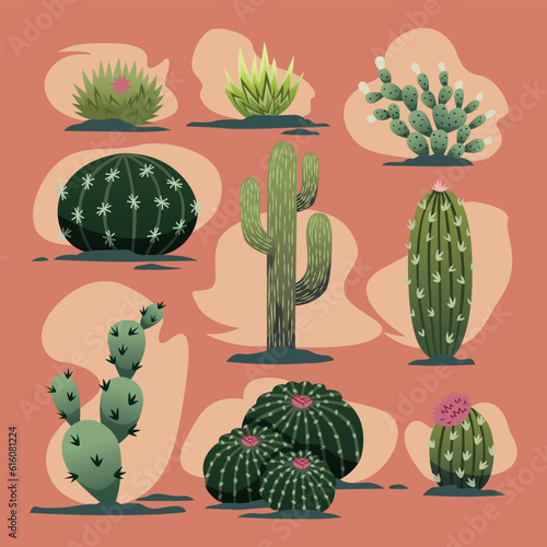cute cartoon desert cactus vector collection set illustration