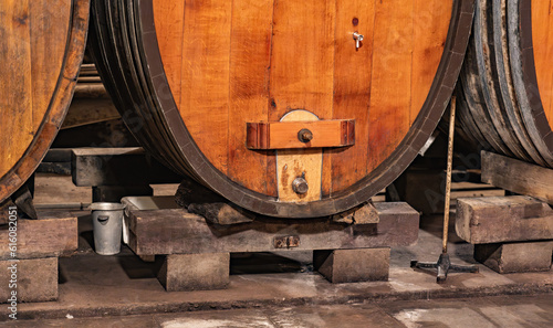 barrels of wine in cellar
