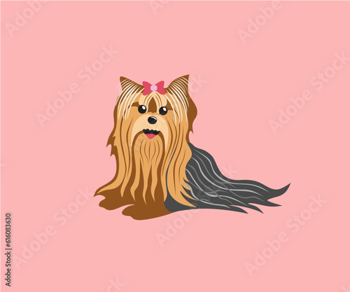 Yorkshire terrier - beautiful little dog, vector