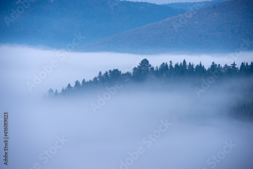 fog in the mountains