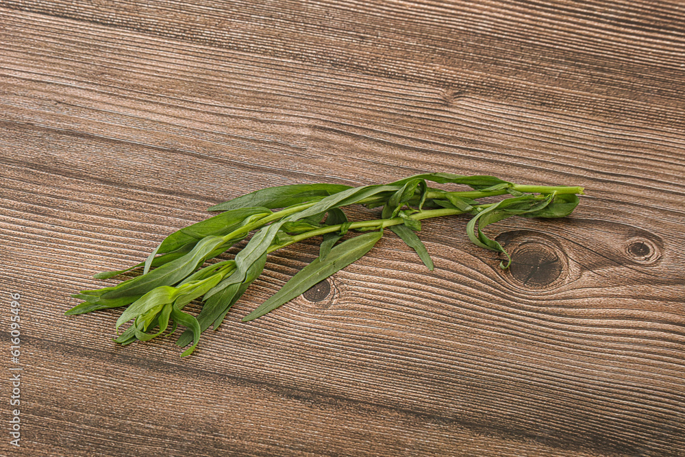 Green tarragon herb spice for cooking Green tarragon herb spice for cooking