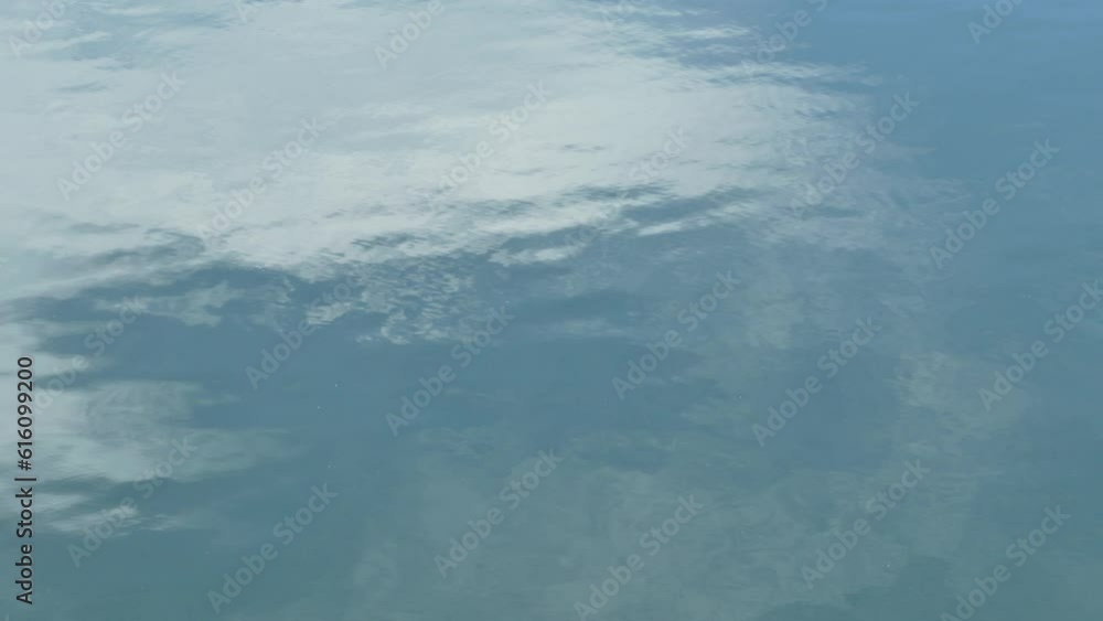 水面 水面