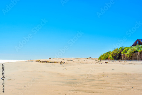 Serene Beachscape with Wooden House Fragment and Hedge