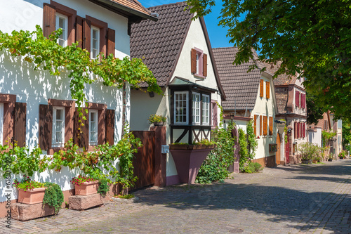 Typische Bebauung in der historischen Theresienstraße in Rhodt unter Rierburg. Region Pfalz im Bundesland Rheinland-Pfalz in Deutschland