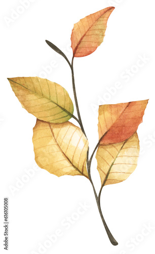 Autumn leaf. Watercolor illustration.