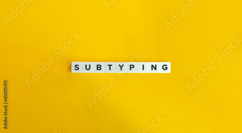 Subtyping Term in Programming Language Theory. Banner and Concept Image. 