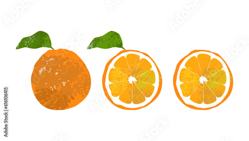 Set of fresh orange