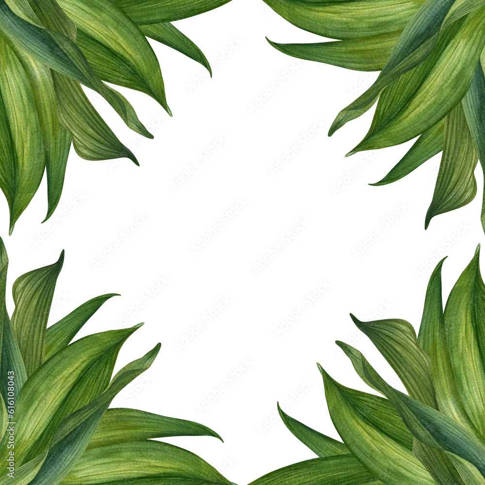 Watercolor illustration of a frame of green branches with leaves for wedding, birthday, greeting card, menu, banner, border, stickers.