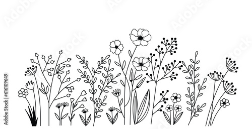 Wild Flower, Transparent Flower, Leaves, Spring, Sunflower 