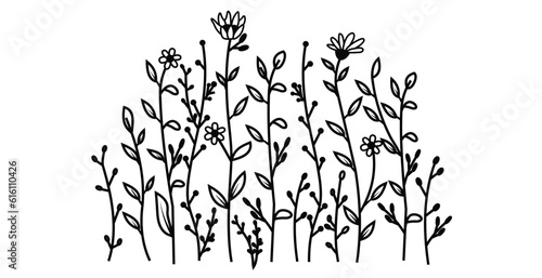 Wallpaper Mural Wild Flower, Transparent Flower, Leaves, Spring, Sunflower  Torontodigital.ca