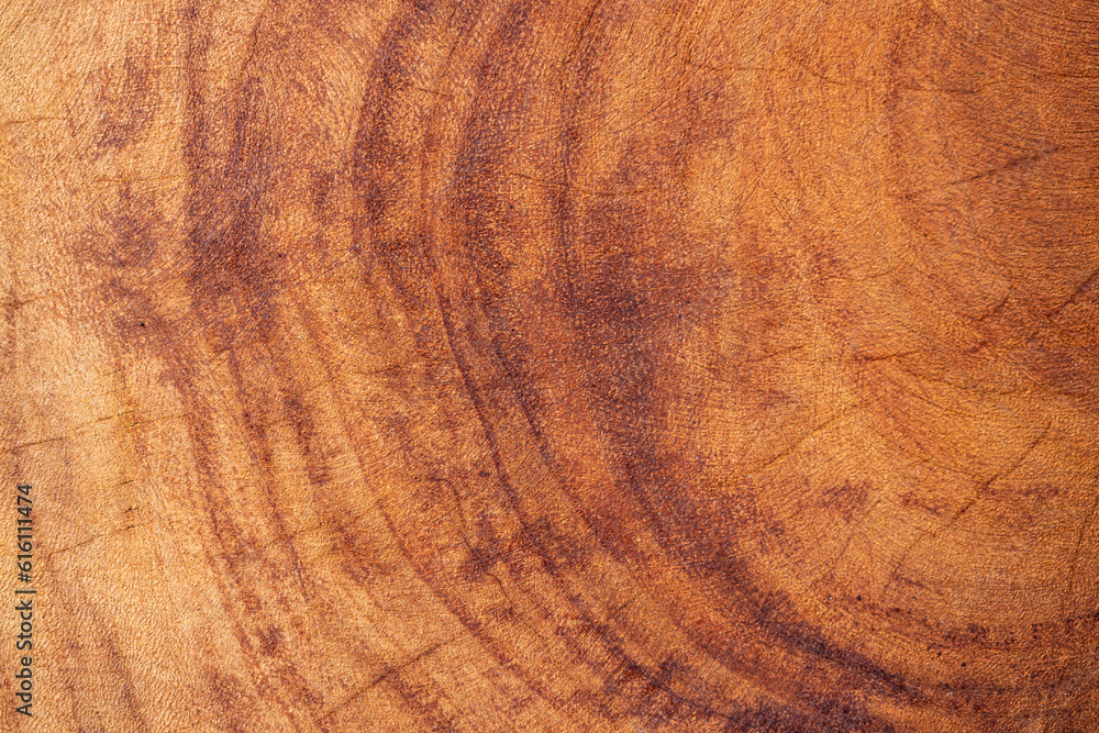 Large cut tree trunk with its circular marks from the passing of the years.