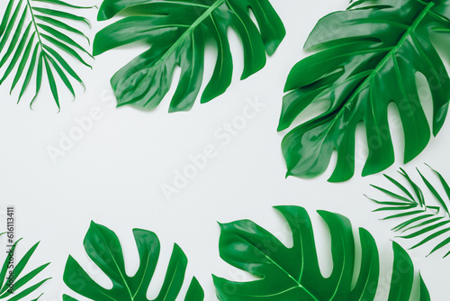 Creative layout made of colorful tropical leaves on white background. Minimal summer exotic concept with copy space. Border arrangement. 