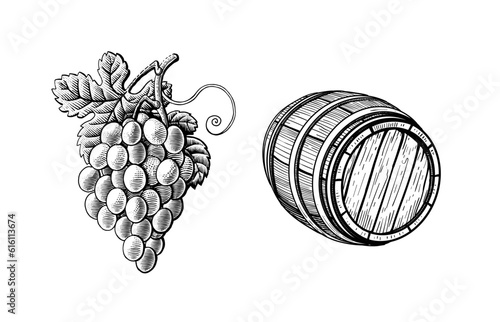 Grape branches and wine barrel hand drawn retro. Isolated on white background. vector illustration