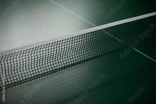 Grid above table. Table tennis table. Net in tennis.
