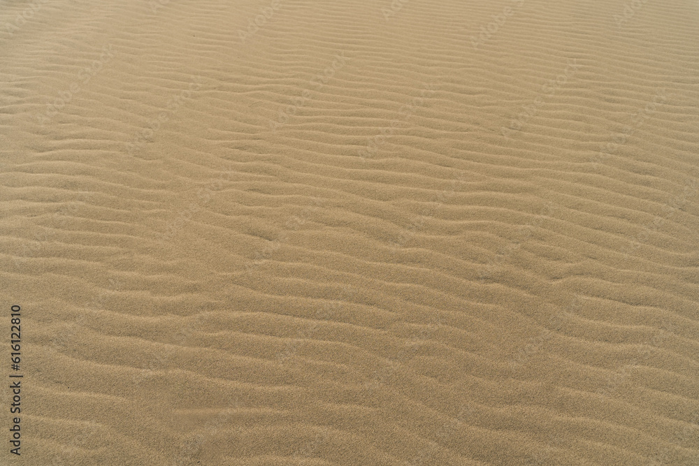 Sand dunes background texture, camel color. Sand dunes background texture, camel color.