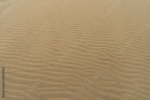 Sand dunes background texture  camel color.