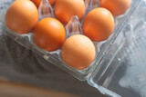 Set of brown eggs organic food natural light copy space graphic resources