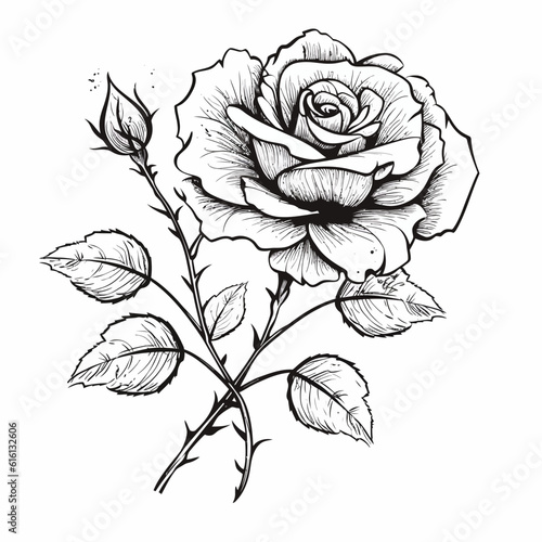 Beauty rose outline art tattoo design element